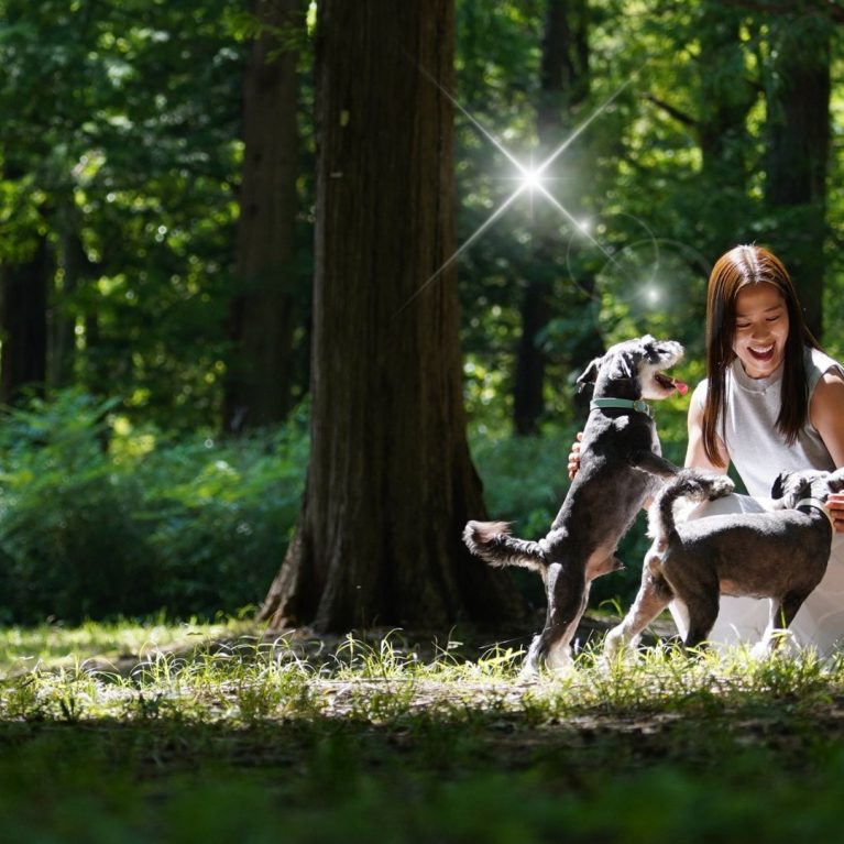 ペットの健康を叶えるヒミツ✨遂に解禁！