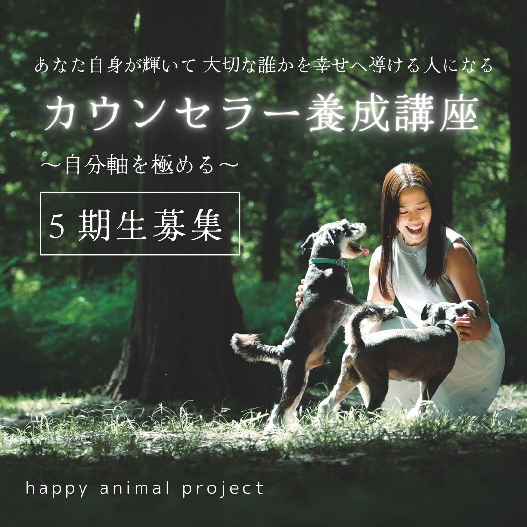 半年間で人生をひっくり返せる