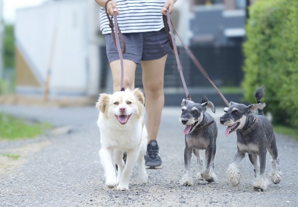 本当の意味で優しくなろう
