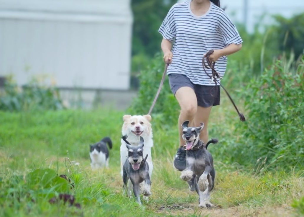 望む未来を選び直す力