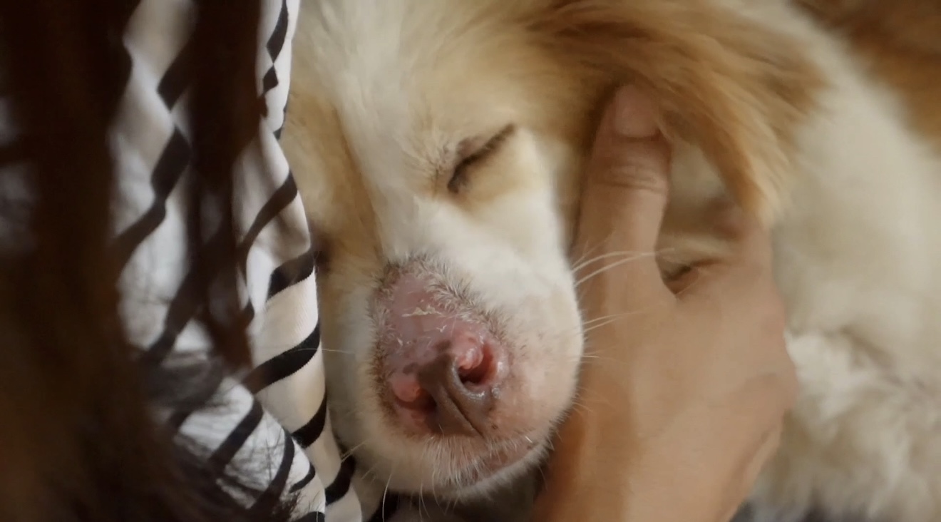 まるが教えてくれたこと